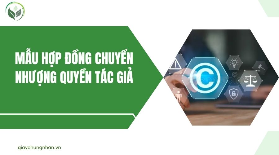 Mẫu hợp đồng chuyển nhượng quyền tác giả
