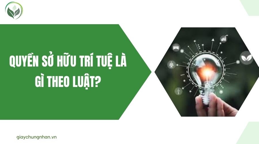 Quyền sở hữu trí tuệ là gì theo luật?