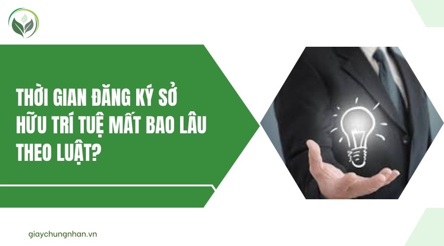 Thời gian đăng ký sở hữu trí tuệ mất bao lâu theo luật?