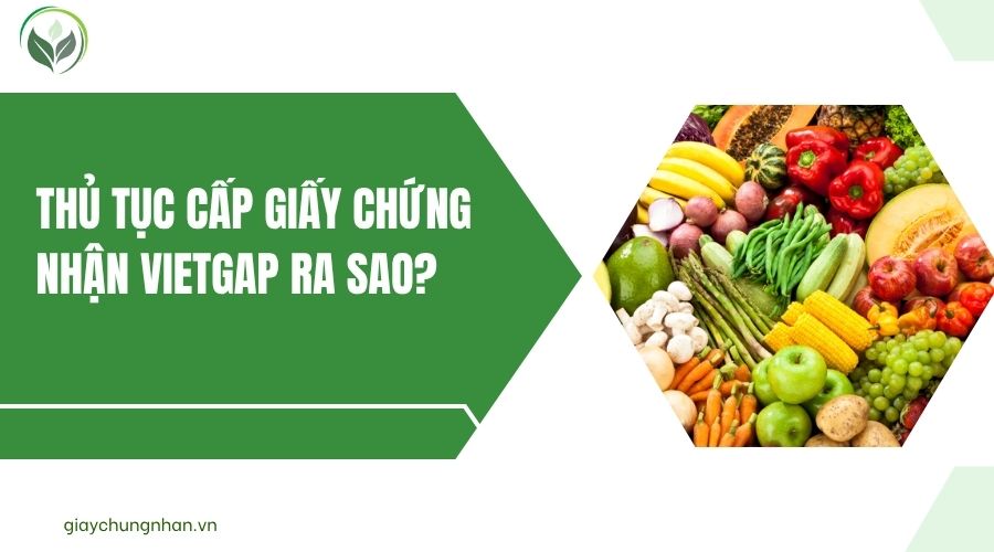 Thủ tục cấp giấy chứng nhận VietGAP ra sao?