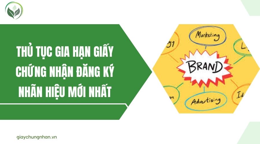 Thủ tục gia hạn giấy chứng nhận đăng ký nhãn hiệu mới nhất