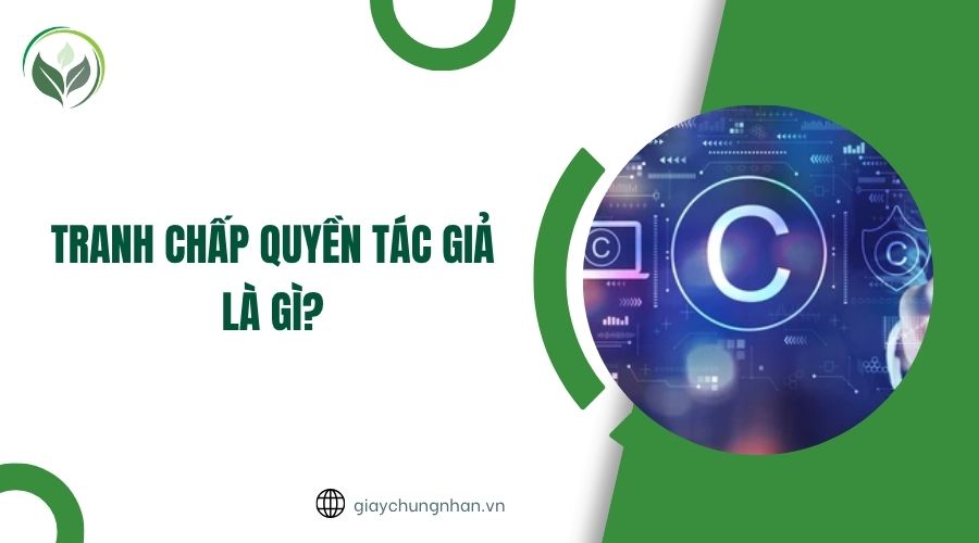 Tranh chấp quyền tác giả là gì?