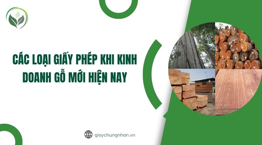 Các loại giấy phép khi kinh doanh gỗ mới hiện nay