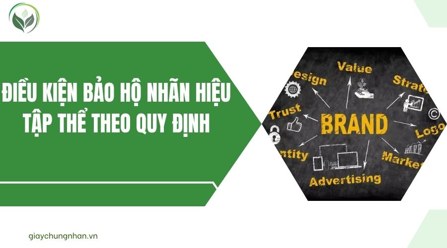 Điều kiện bảo hộ nhãn hiệu tập thể theo quy định