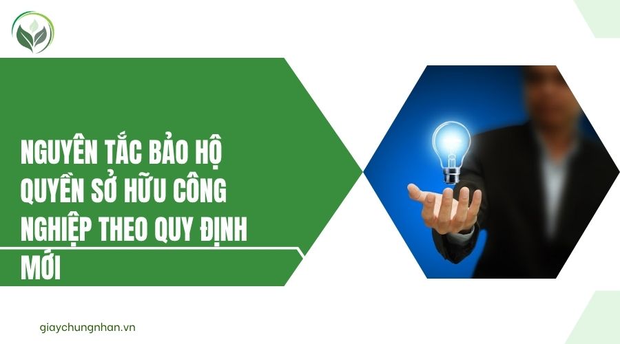Nguyên tắc bảo hộ quyền sở hữu công nghiệp theo quy định mới